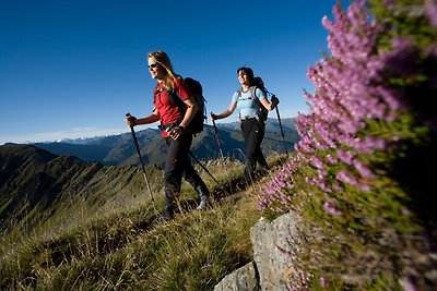 Vakantieappartement Gezinsvakantie Fügen