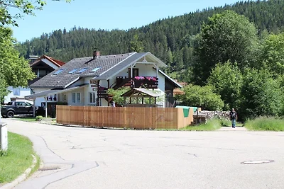 Vakantieappartement Gezinsvakantie St. Blasien
