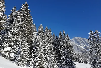 Vakantieappartement Gezinsvakantie Berwang