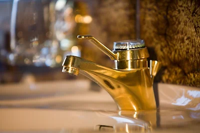 Flora in Haus Admont