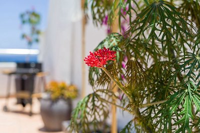 Holiday flat family holiday Maspalomas