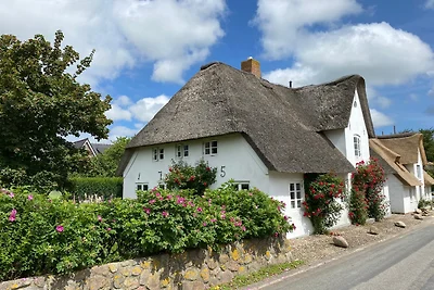Vakantiehuis Ontspannende vakantie Oevenum