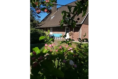 2 Einzelzimmer Appartement Jork am