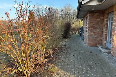 Domek letniskowy Urlop wypoczynkowy Wangels