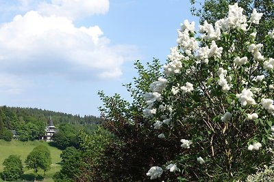 Vakantieappartement Gezinsvakantie Altenberg