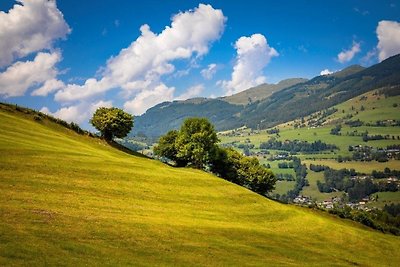 Vakantieappartement Gezinsvakantie Mittersill