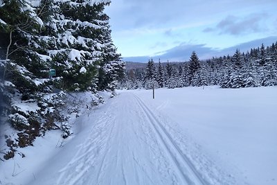 Appartamento Vacanza con famiglia Altenberg