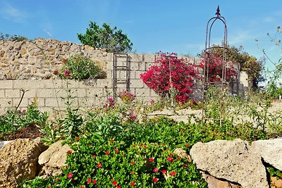 Casa Rosa, Arico Viejo/ La Sabinita