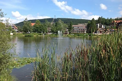 Bocksbergblick Ausspann