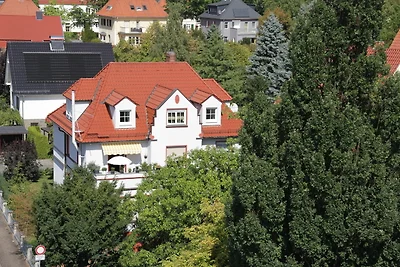 Apartment Kunsthaus Penthouse (DG)