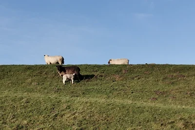 Appartamento Vacanza con famiglia Westerdeichstrich