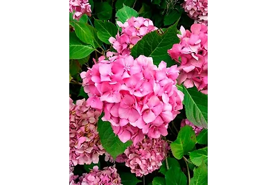 Appartamento Vacanza con famiglia Stadland