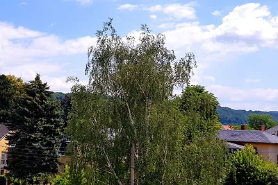 Ferienwohnung Elbhangblick