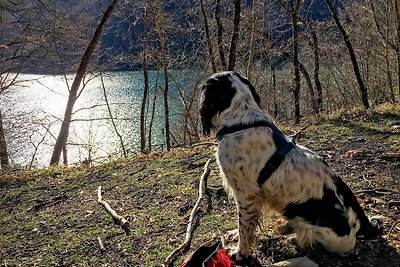 Söhredomizil Kaufunger Wald -