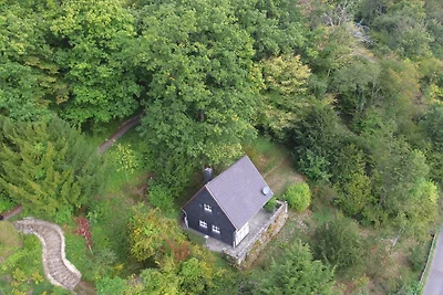 Ferienhaus am Rursee- Haus Efeu