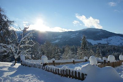 Der Sonnenhof - Appartement