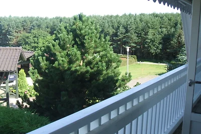 Vakantieappartement Gezinsvakantie Sehlen
