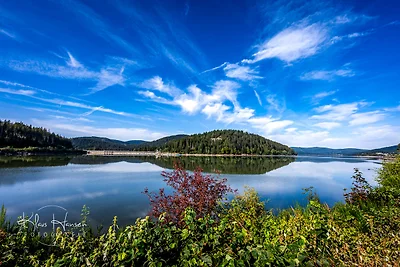 Vakantieappartement Gezinsvakantie Schluchsee