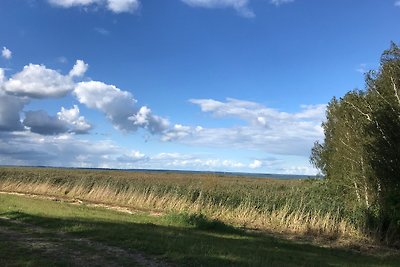 Sonniges Strandhaus am Haff mit