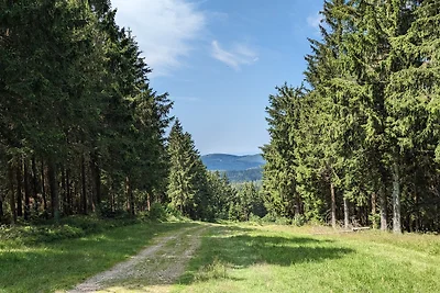 Chill Out Apartment Bergblick
