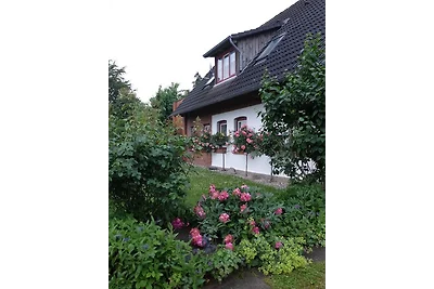 Ferienwohnung Strandkorb