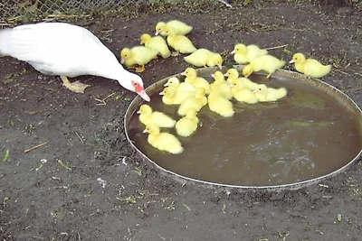 Zweibettzimmer "Marie"