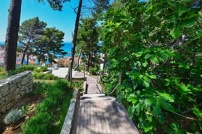 Appartamento Vacanza con famiglia Baska Voda