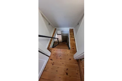 De Lüdde Mangelstuv