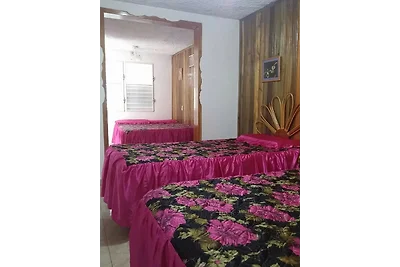 Hospedaje Los Sauces Appartement 1