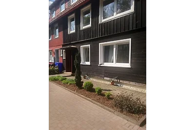 Blick über Hohegeiss