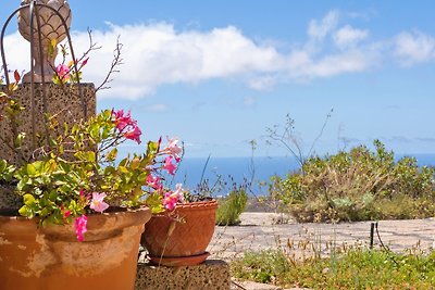 Vakantiehuis Ontspannende vakantie Arico