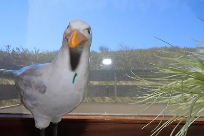 Fewo Klotz - Strandübergang Käptn