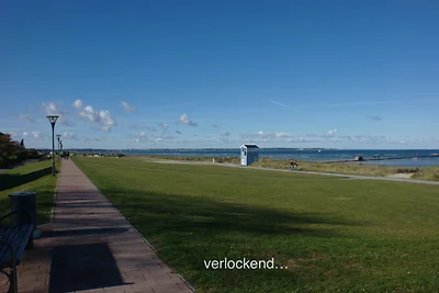 Vakantieappartement Gezinsvakantie Wendtorf