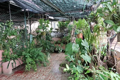 Casa Alavit Appartement 1