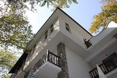 PLATANOFYLLA Duplex Apartment No1