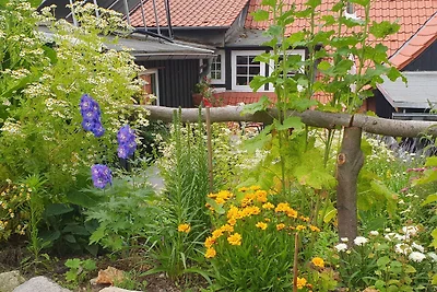 Holiday flat family holiday Quedlinburg