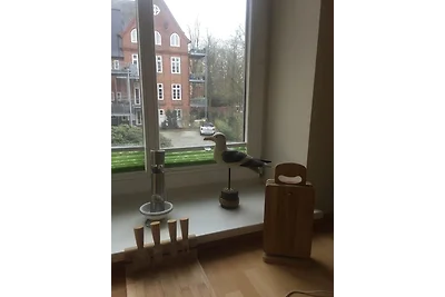 Ferienwohnung "Kutscherhaus"