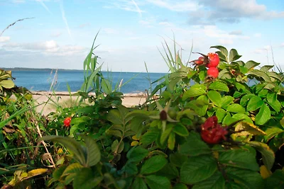 Ferienwohnung Oelstorf