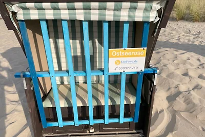 Ferienwohnung Ostseerose im Sommer