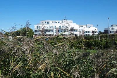 Wohlfühlen am Nordseedeich