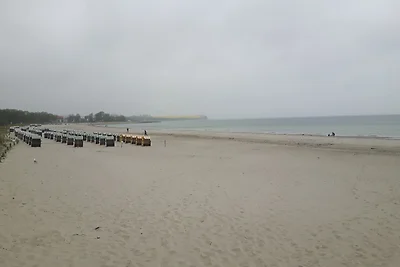 Ferienhaus an der Ostsee -23b-