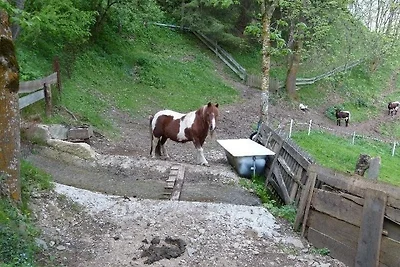 Ferien am Bauernhof, Wohnung 2