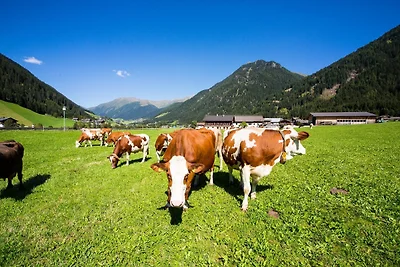 Grosszügiges Mehrbettzimmer am