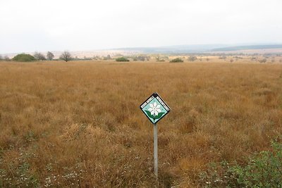 Vakantiehuis Ontspannende vakantie Büllingen