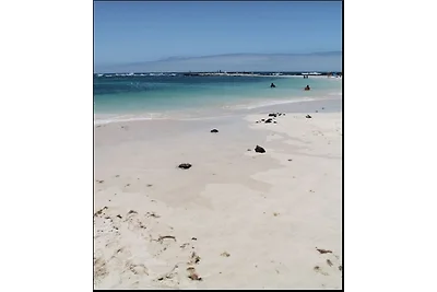 Casa vacanze Vacanza di relax La Oliva