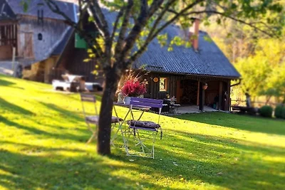 Casa vacanze Vacanza di relax Bad St. Leonhard im Lavanttal