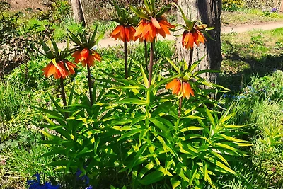 Die Malche Gäste und Tagungshaus