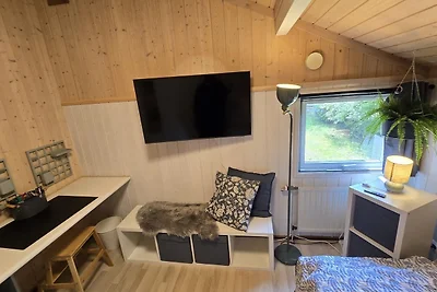 Vakantiehuis Ontspannende vakantie Haren