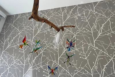 Erholungshaus "Kolibri" direkt in