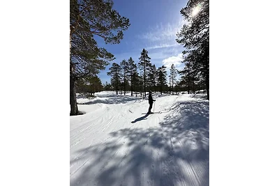 Vakantiehuis Ontspannende vakantie Telemark